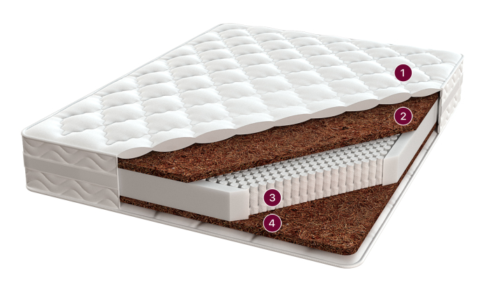 Мульти Класс 0